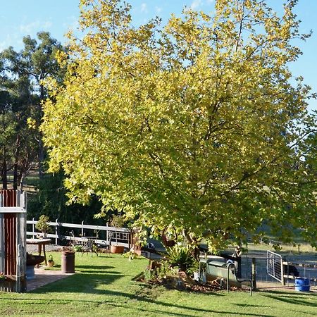 The Stables Hotell Wandin North Exteriör bild