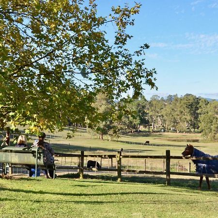The Stables Hotell Wandin North Exteriör bild