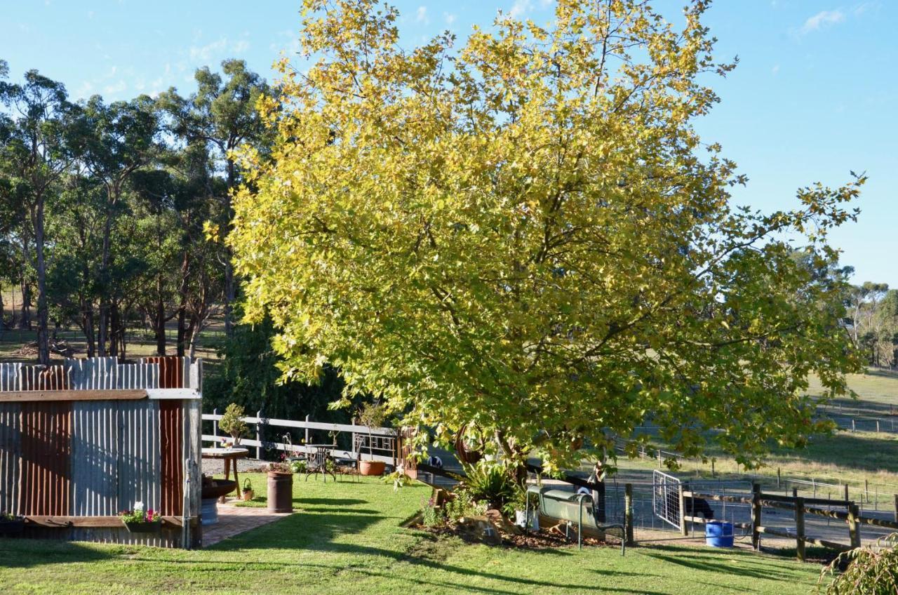 The Stables Hotell Wandin North Exteriör bild