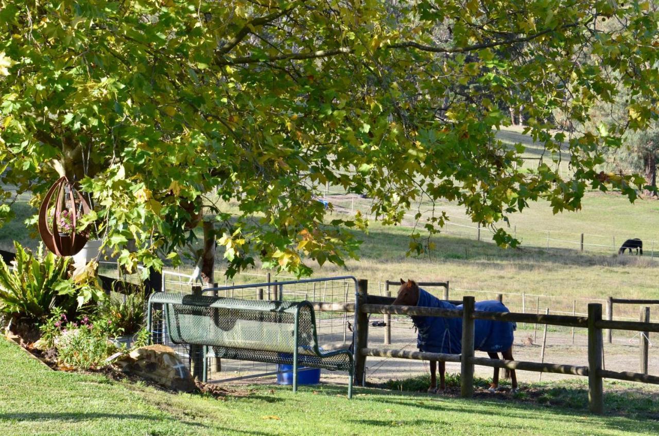 The Stables Hotell Wandin North Exteriör bild